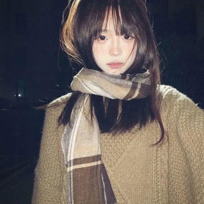 老妇与鸽子
